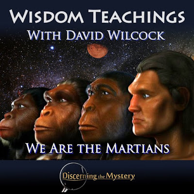David Wilcock's: Wisdom Teachings – We Are the Martians | Short Summary and Analysis  Wisdom%2BTeachings%2B-%2BWe%2BAre%2BMartians%2B-%2BCover%2BArt%2B2%2B%25281%2529