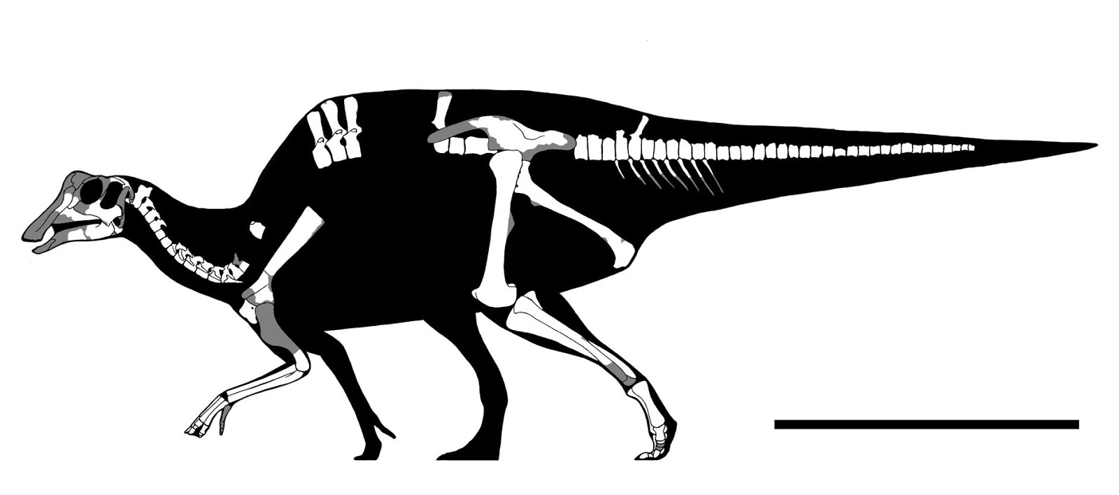 Nipponosaurus_sachalinensis-Nagao_1936-2018_Takasaki_Chiba_Kobayashi_et-al--%2540GET_AWAY_TRIKE.jpg