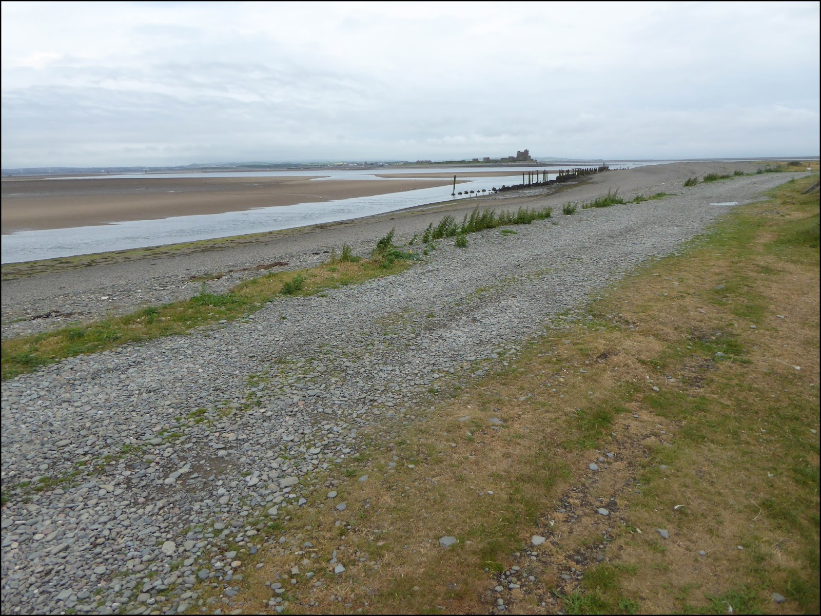Wild and Wonderful Holiday 3 A Day on Walney Island