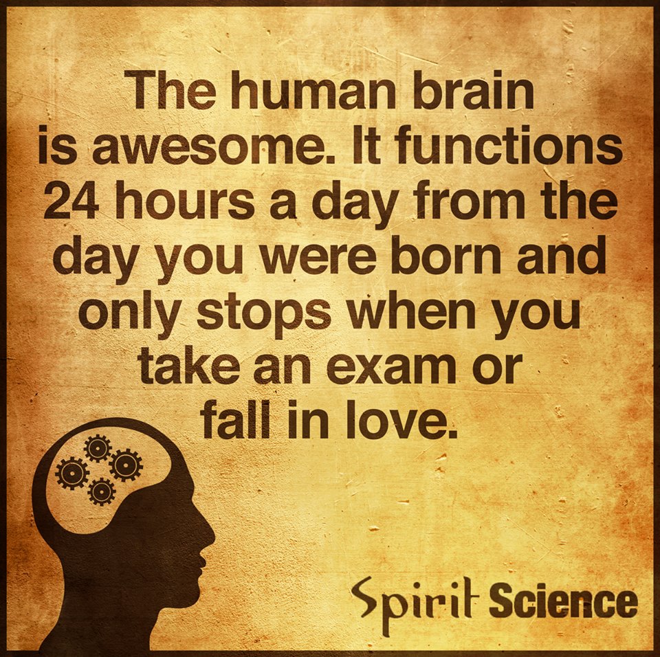 The Human Brain is awesome. It functions 24 hours a day from the day you were born and only stops when you take an exam or fall in love