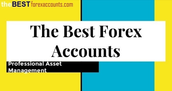 The best forex accounts