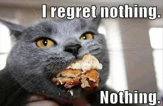 Cat Memes Photos Cat Memes Photos