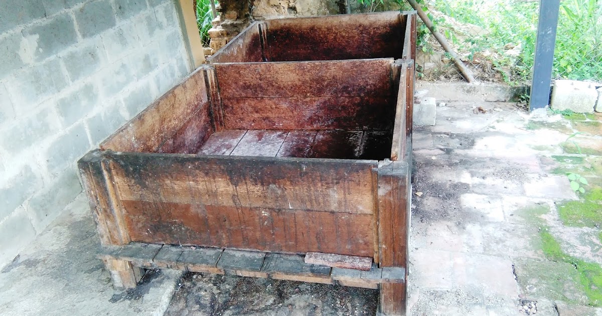 LA FERMENTACIÓN DEL CACAO, PROCESO ESENCIAL PARA EL AROMA Y SABOR DEL