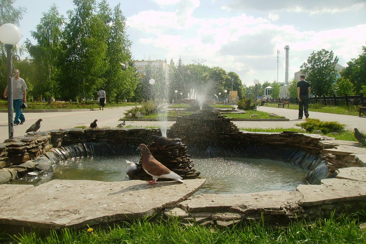 Парк роз строитель белгородская область