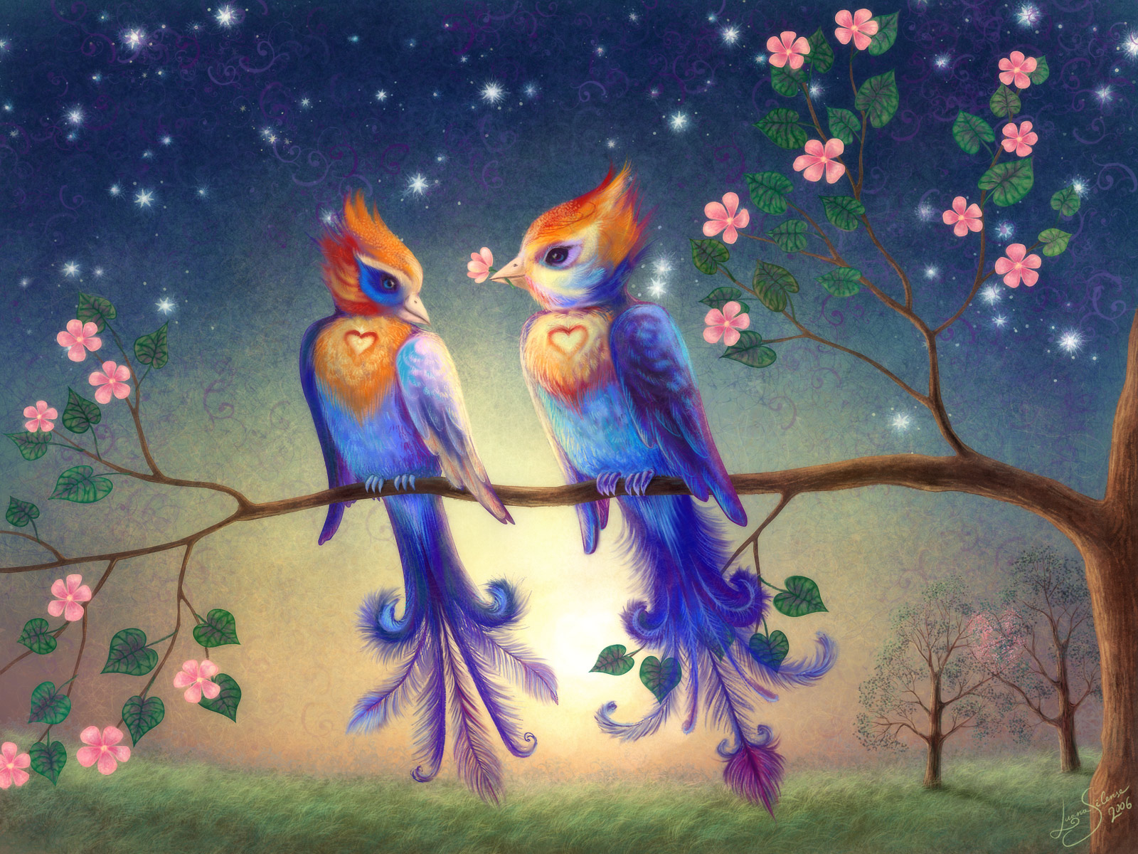 Birds Wallpapers Hd Birds Wallpapers Widescreen