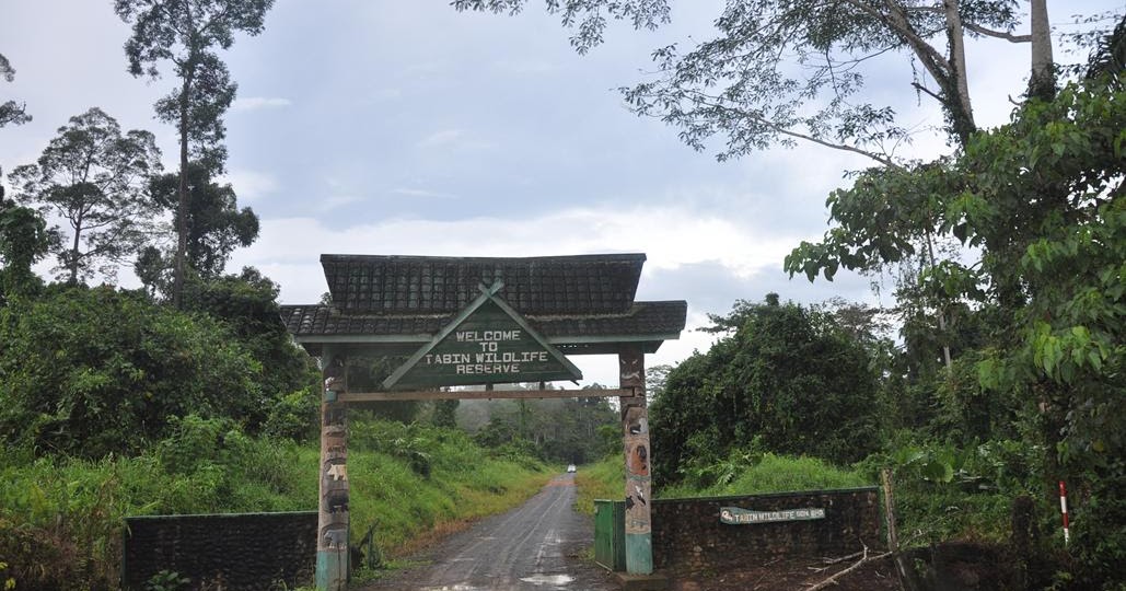 Tabin Wildlife Reserve