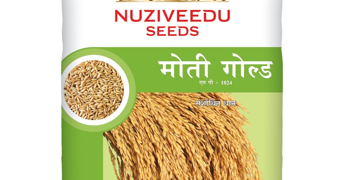 NSL Products: NP-1024 Moti Gold