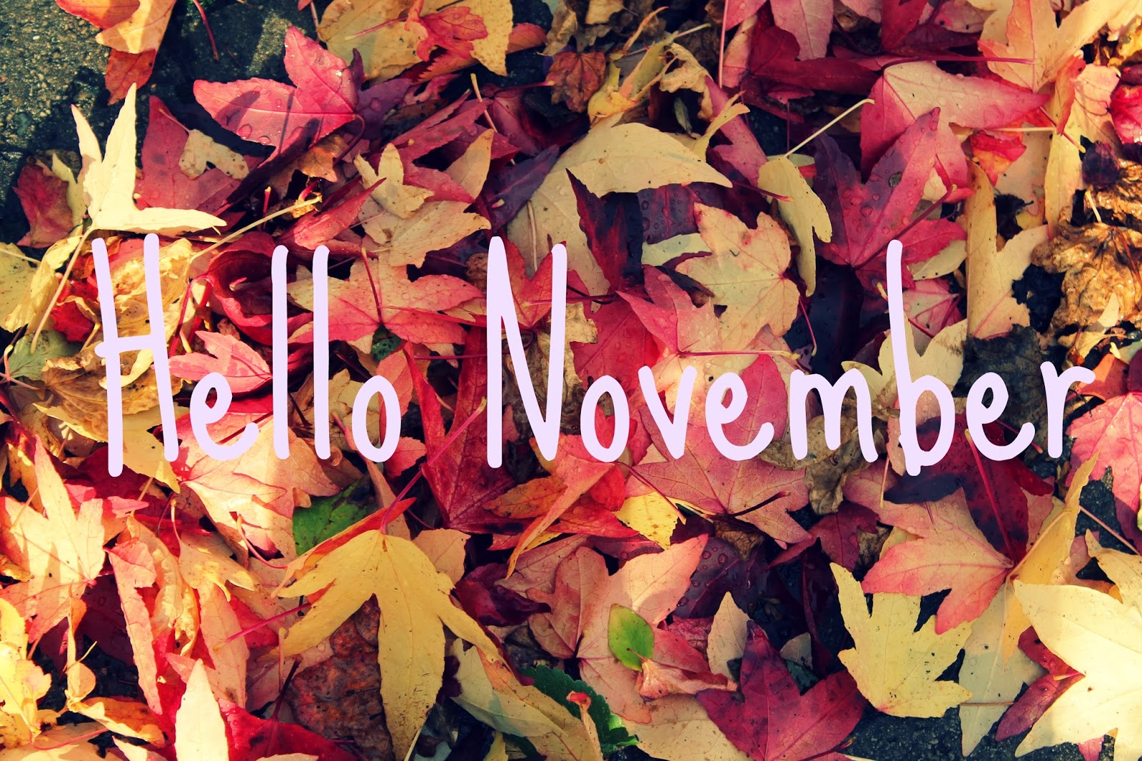 all-about-the-benjamins-hello-november