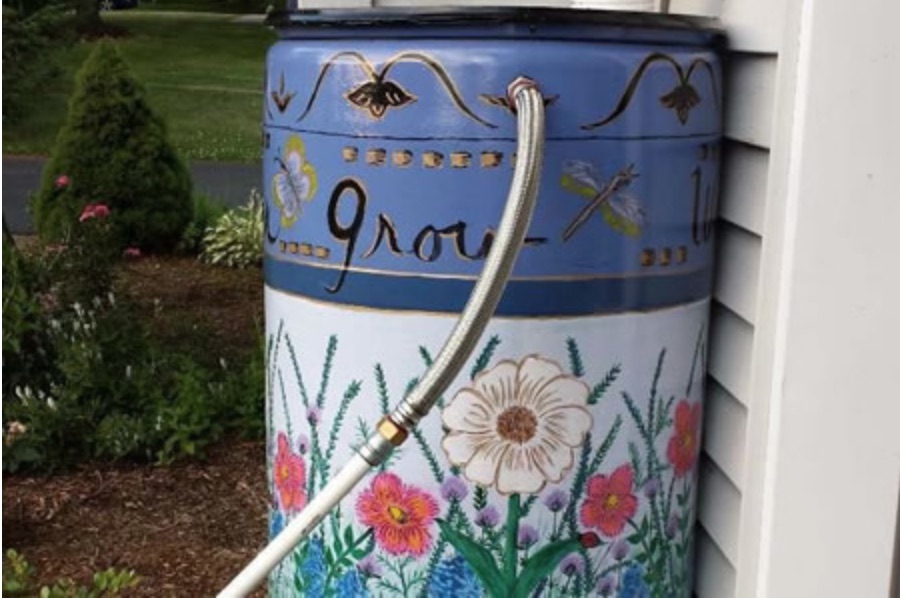 PA Environment Digest Blog York Master Watershed Stewards Hold Rain