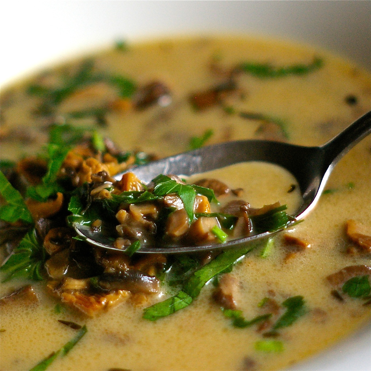 The Yum Yum Factor: Its Friday So It Must Be Soup! Creamy Mushroom Soup