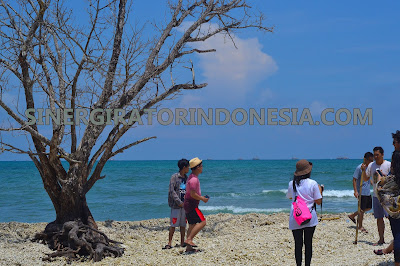 paket tour wisata pantai tanjung lesung murah 2018
