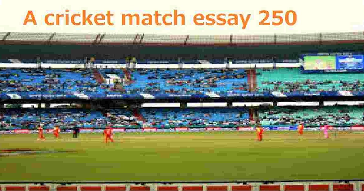 Essay on hobby playing cricket image