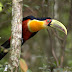 Liminar do Bosque é mantida