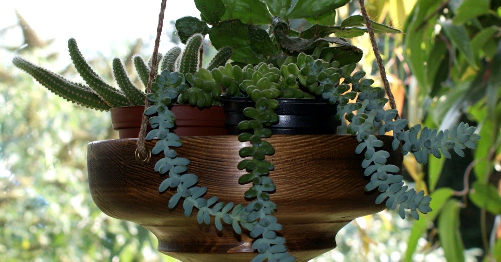 The Shed And Beyond Hanging bowls for plants...