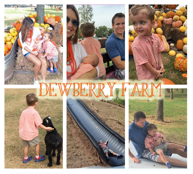 The Good Life Dewberry Farm