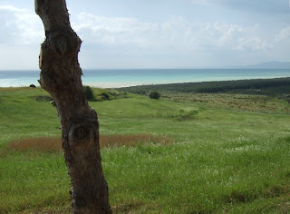 Bild 11: Hang hinunter in das östlich liegende Tal des Platani