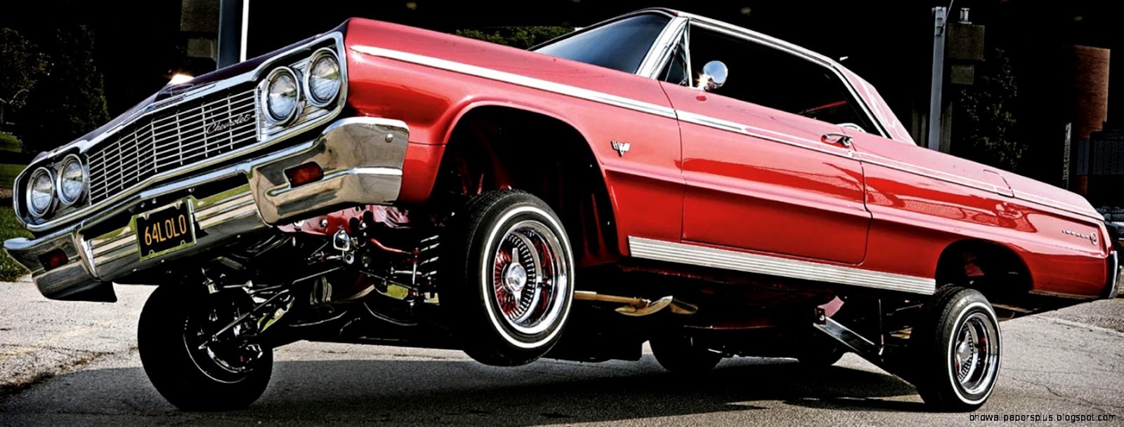 Animals For 1964 Chevy Impala Lowrider Wallpaper  HD Wallpapers Range