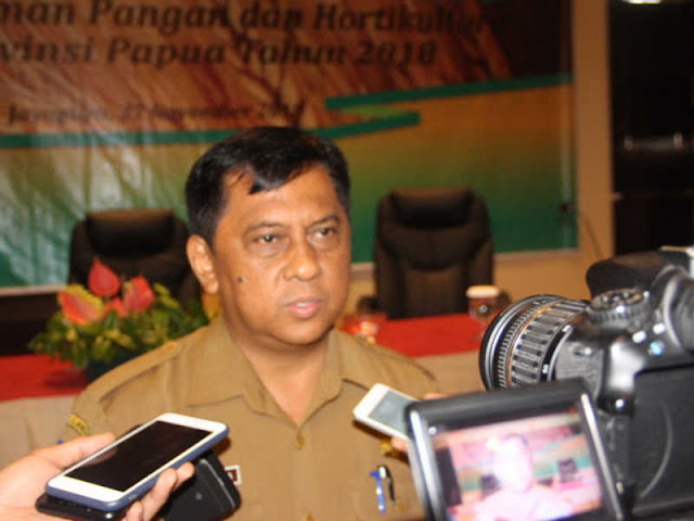 Fokus Swasembada, Produksi Beras Lokal Papua Capai 63 Persen Fokus Swasembada, Produksi Beras Lokal Papua Capai 63 Persen