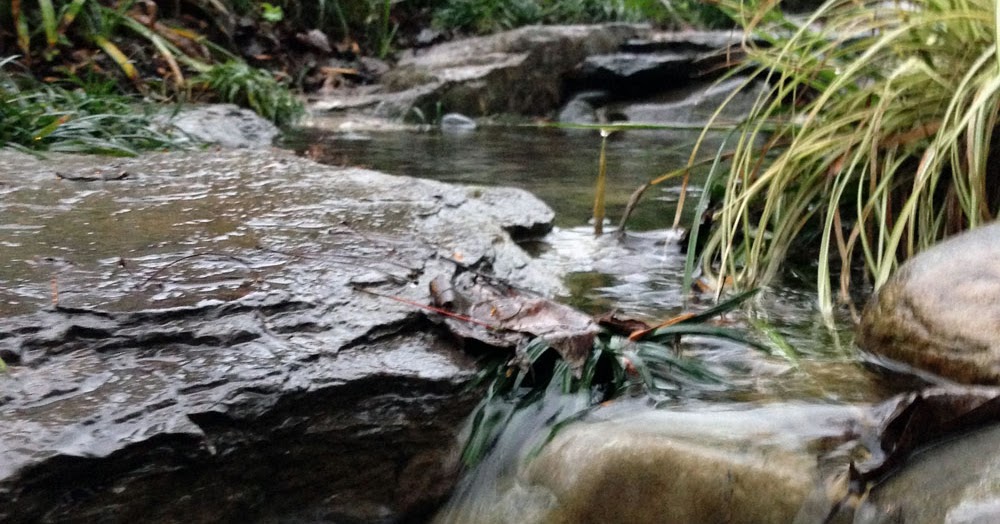 The Rainforest Garden: How to Design a Dry Creek Bed: 10 Tips