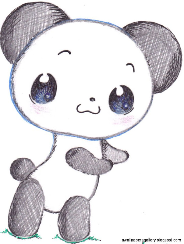 Panda Chibi Drawing