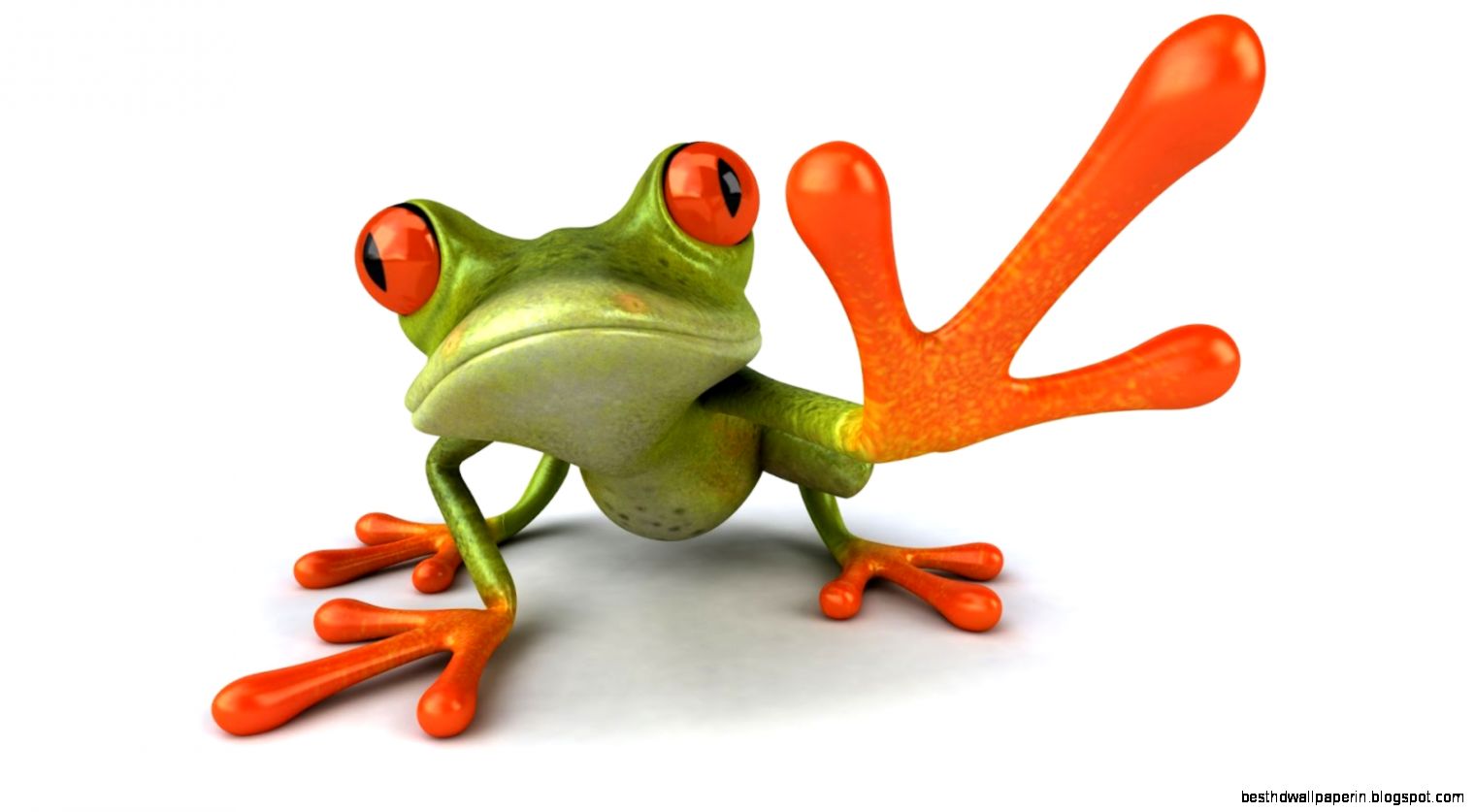 Funny Frog 3D  Download Cartoon Wallpaper For Free
