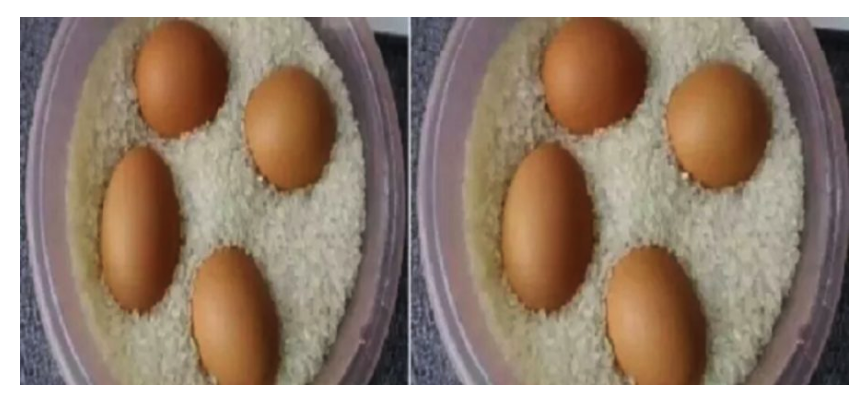 Ibu Ini Menaruh Telur Mentah Ke Dalam Beras Ternyata