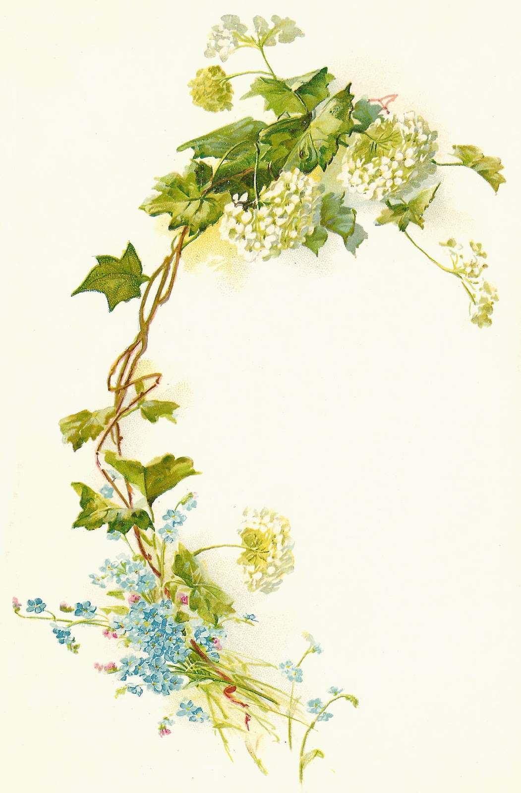 Antique Images: Free Flower Clip Art: Vintage Flower Illustration with Branch and Leaves Antique Images: Free Flower Clip Art: Vintage Flower Illustration with Branch and Leaves