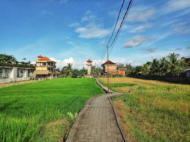 Solo Travelling di Ubud Bali