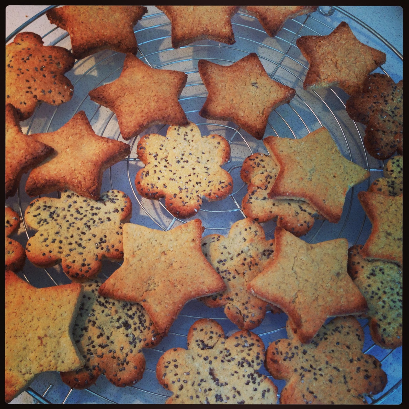 Skinny Sweets and Treats Banana and Chia Seed Protein Cookies (gluten