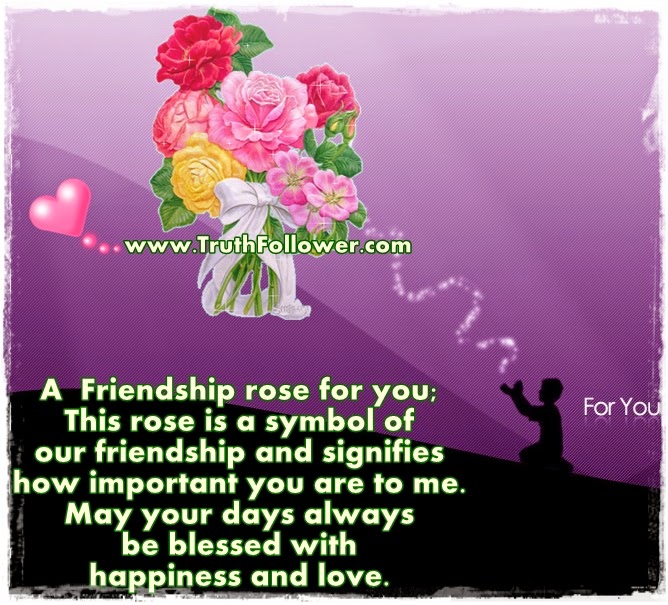 A Friendship rose for you