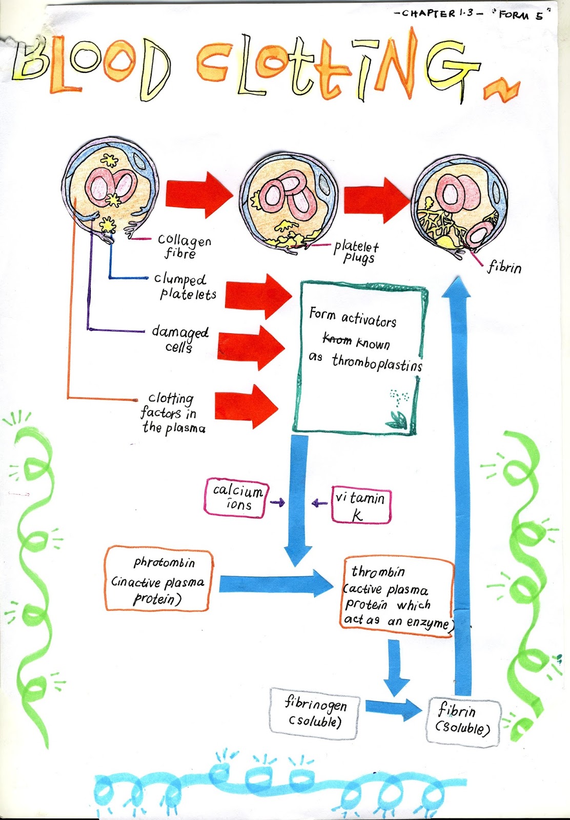 Bijak Tekun: Nota Kreatif Biologi Tingkatan 5 : Bab 1