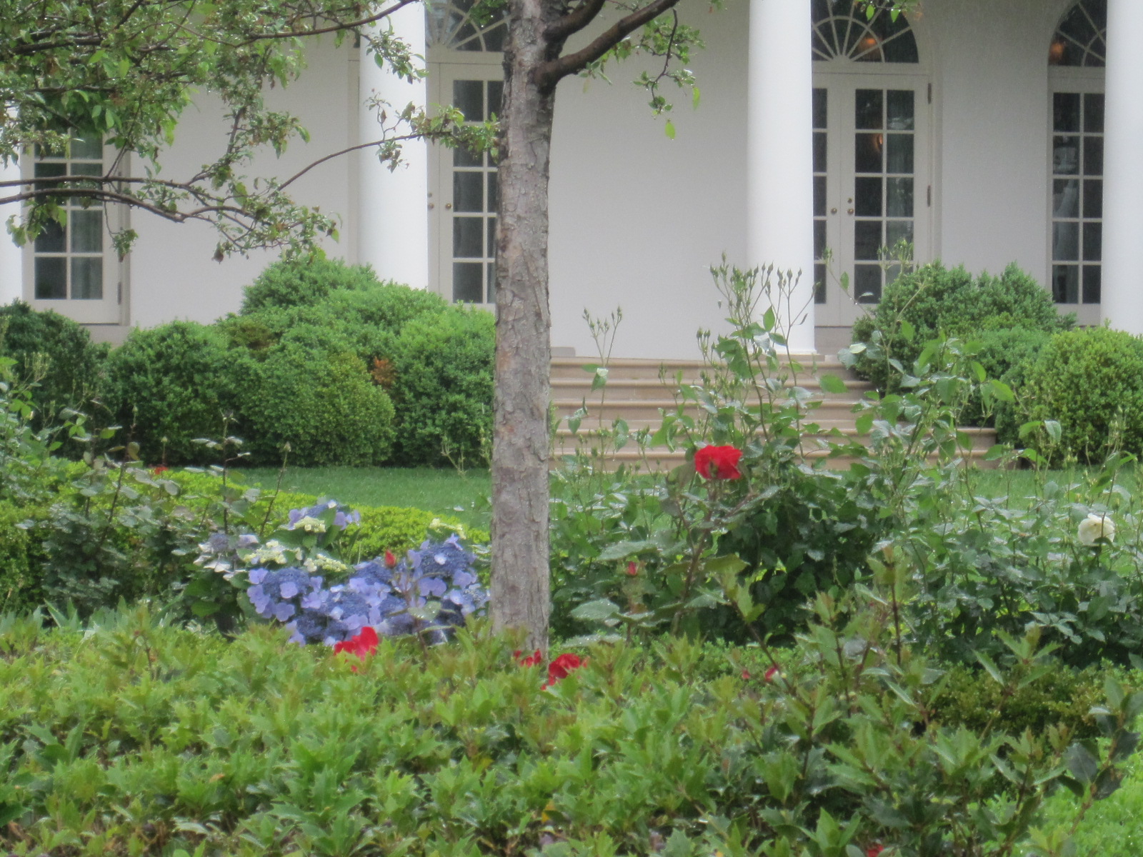 Kris's 2012 A Photo A Day White House Spring Garden Tour in