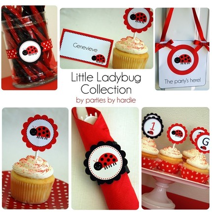Flour Girl: Lady Bug Party