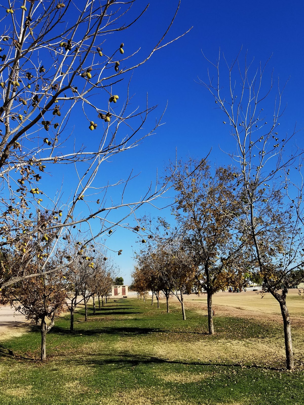 Tumbleweed Park Ranch