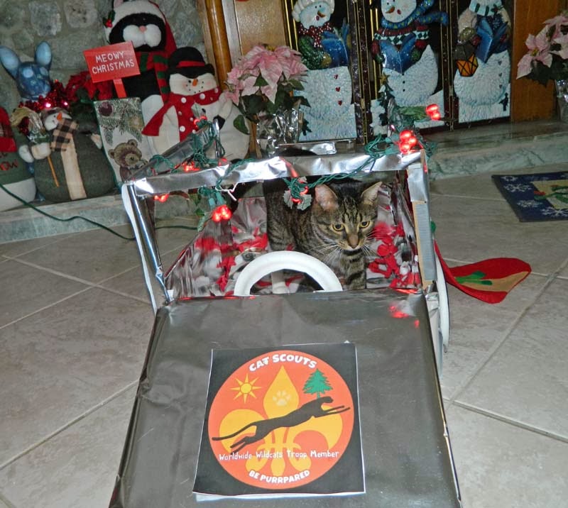 Friends FurEver: December 2013