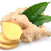Ginger Benefits for Inflamation, Coughs and Colds