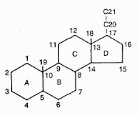Suatu inti steroid. lnti ini mempunyai empat cincin: A, B, G, dan D. Nomor-nomor menunjukkan karbon-karbon di dalam molekul. Adanya gugus yang berikatan dengan karbon-karbon ini dapat diketahui dari nomor yang dipakai, Contohnya, steroid 17- hidroksi berarti mempunyai gugus hidroksi yang berikatan dengan karbon pada posisi 17.