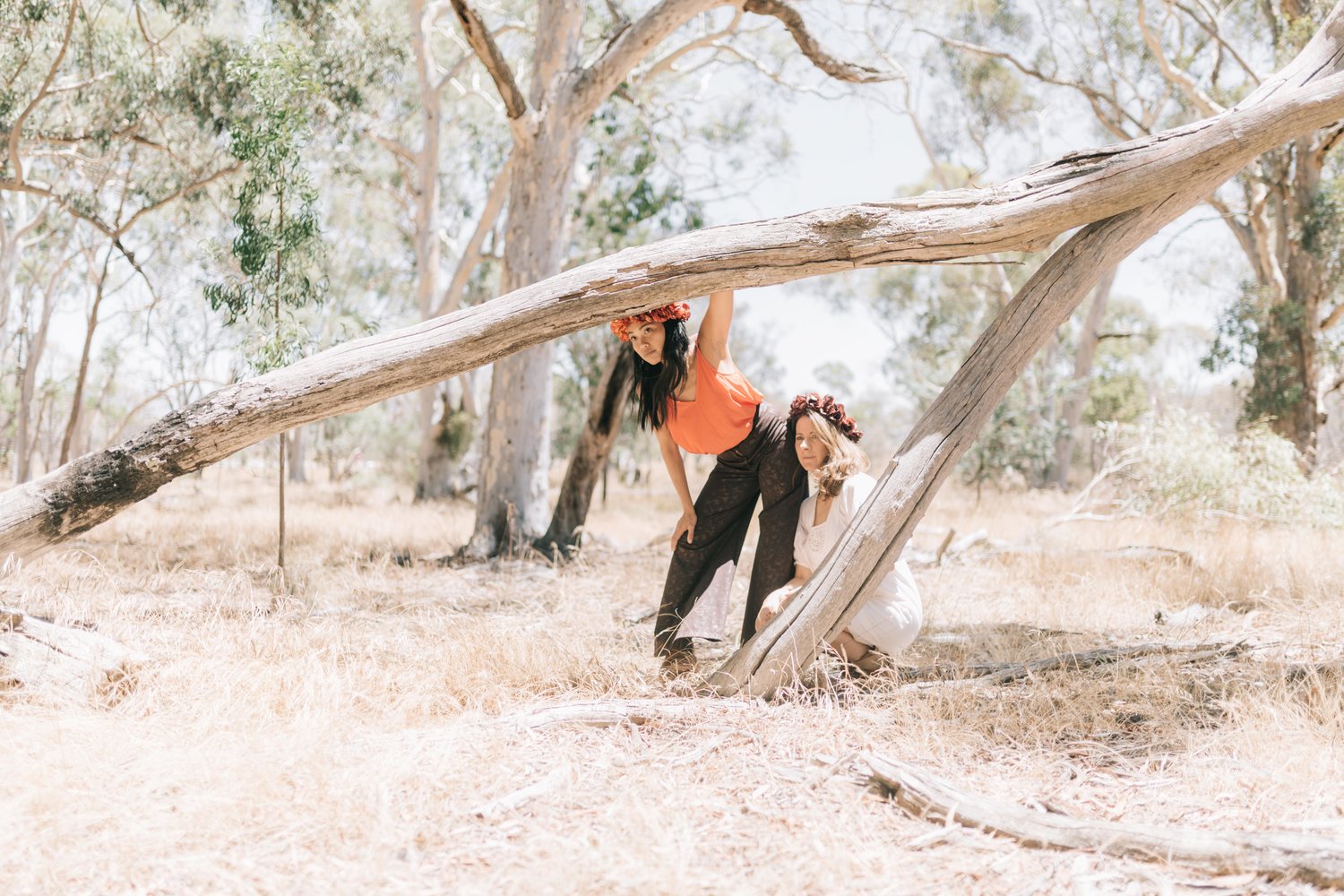 как узнать модель playstation