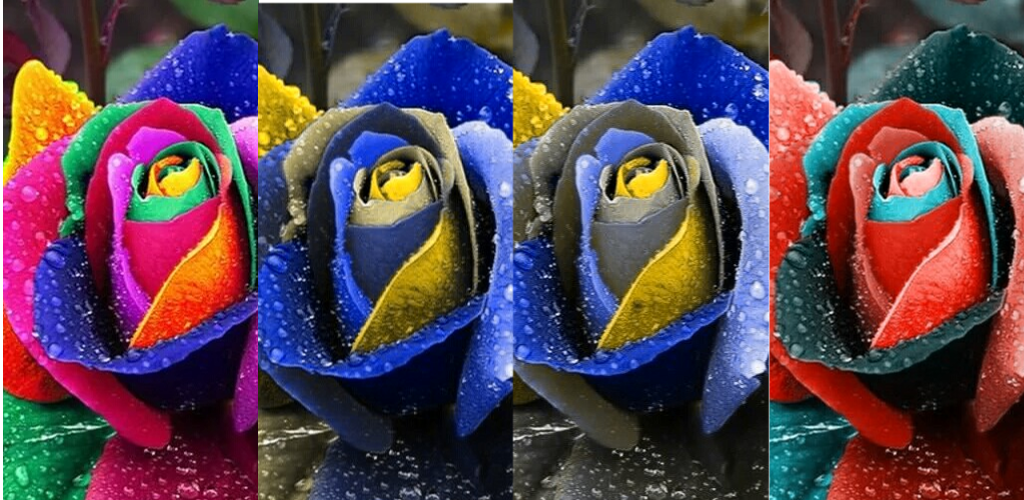 Colorblind Tools Colorblind Simulator for Android released