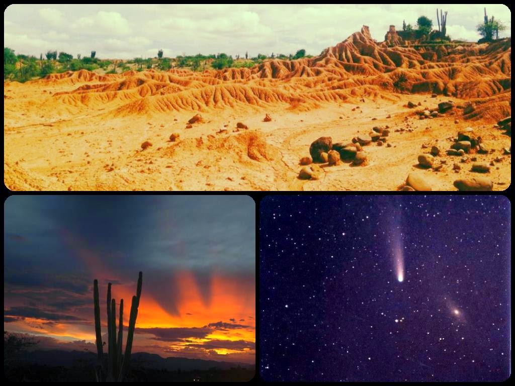 El Jardín Convertido Desierto