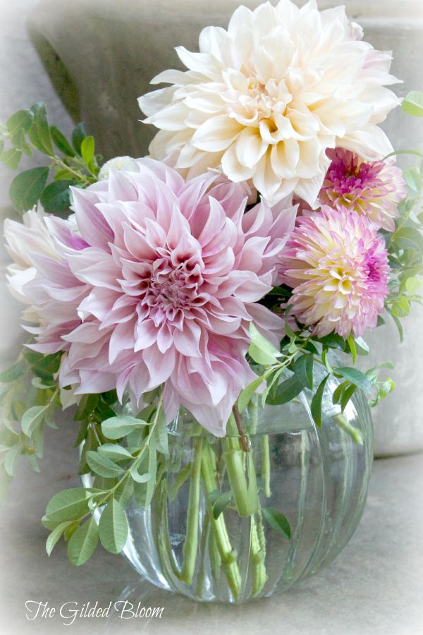 Cafe au Lait Dahlia Arrangement The Gilded Bloom