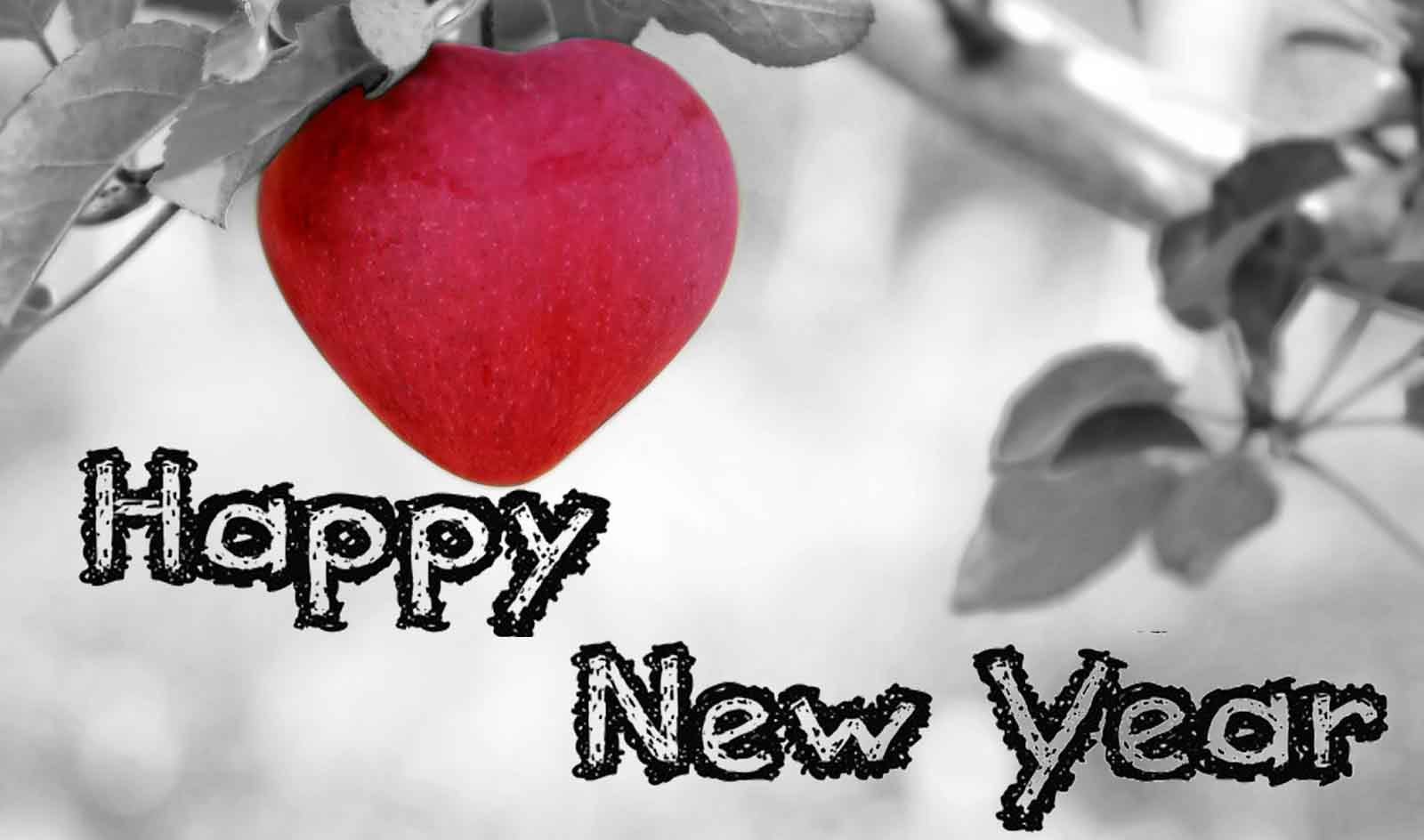 Valentine's day greetings: december 2015 Valentine's Day Greetings: December 2015