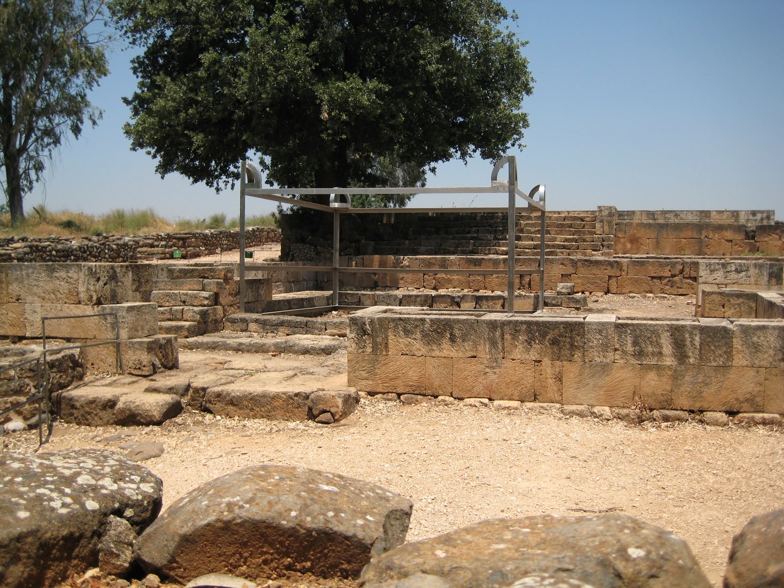 This Week in History: Tel Dan