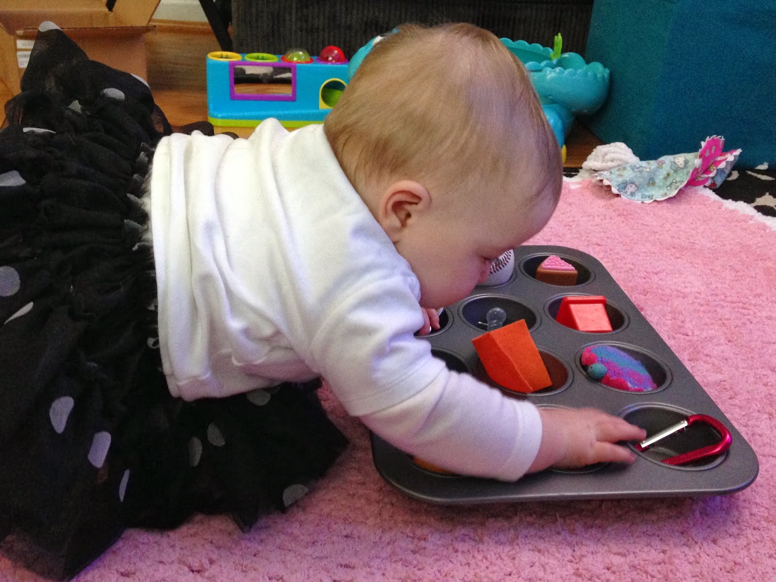 The Quasi Adventures of an UglyKitty How to Keep an 8MonthOld