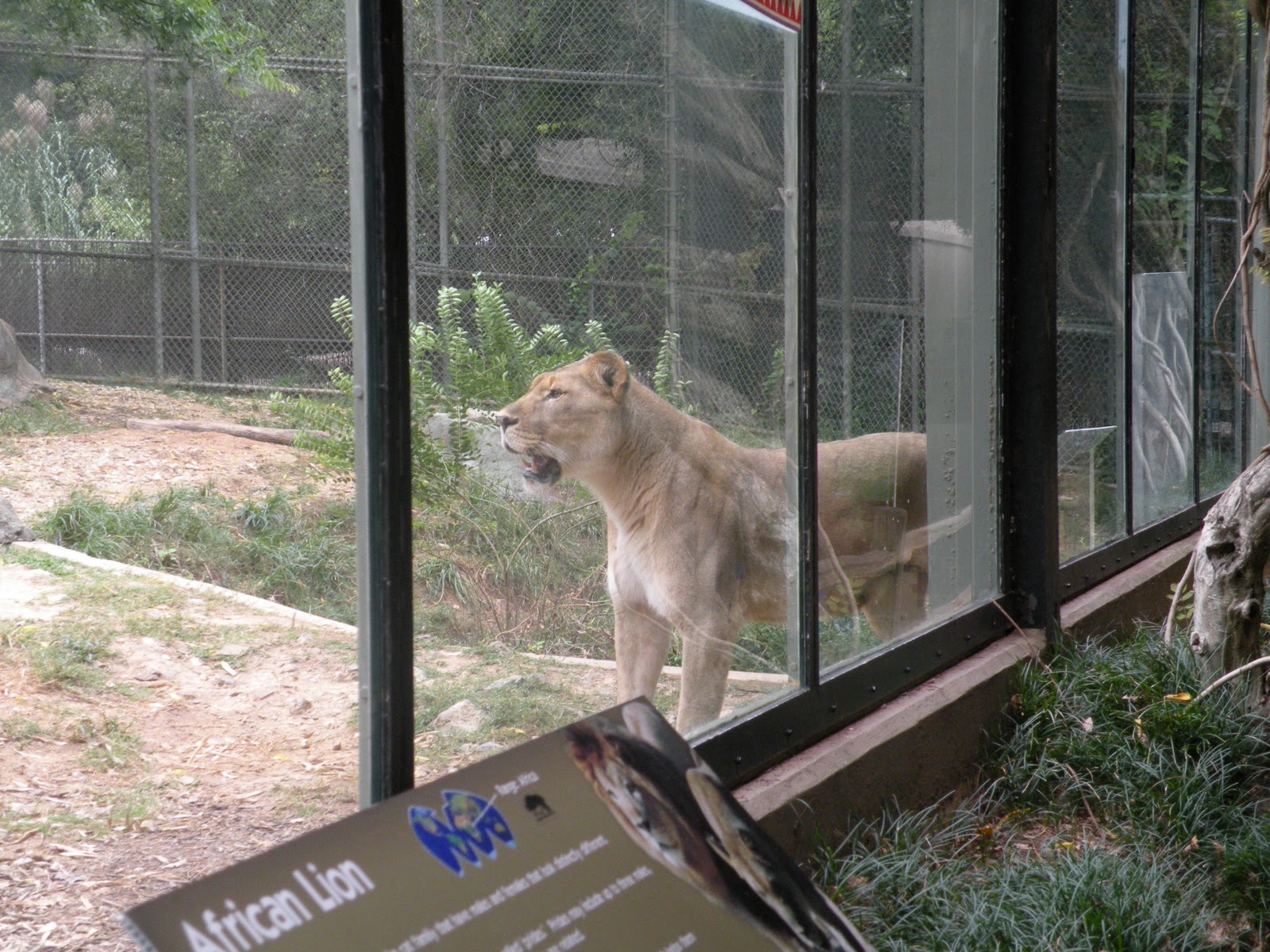 Life, Love, and Laundry The Birmingham Zoo....minus a few monkeys