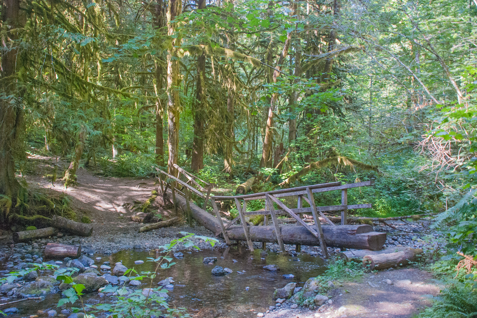 Pacific Northwest Photography Maple Falls