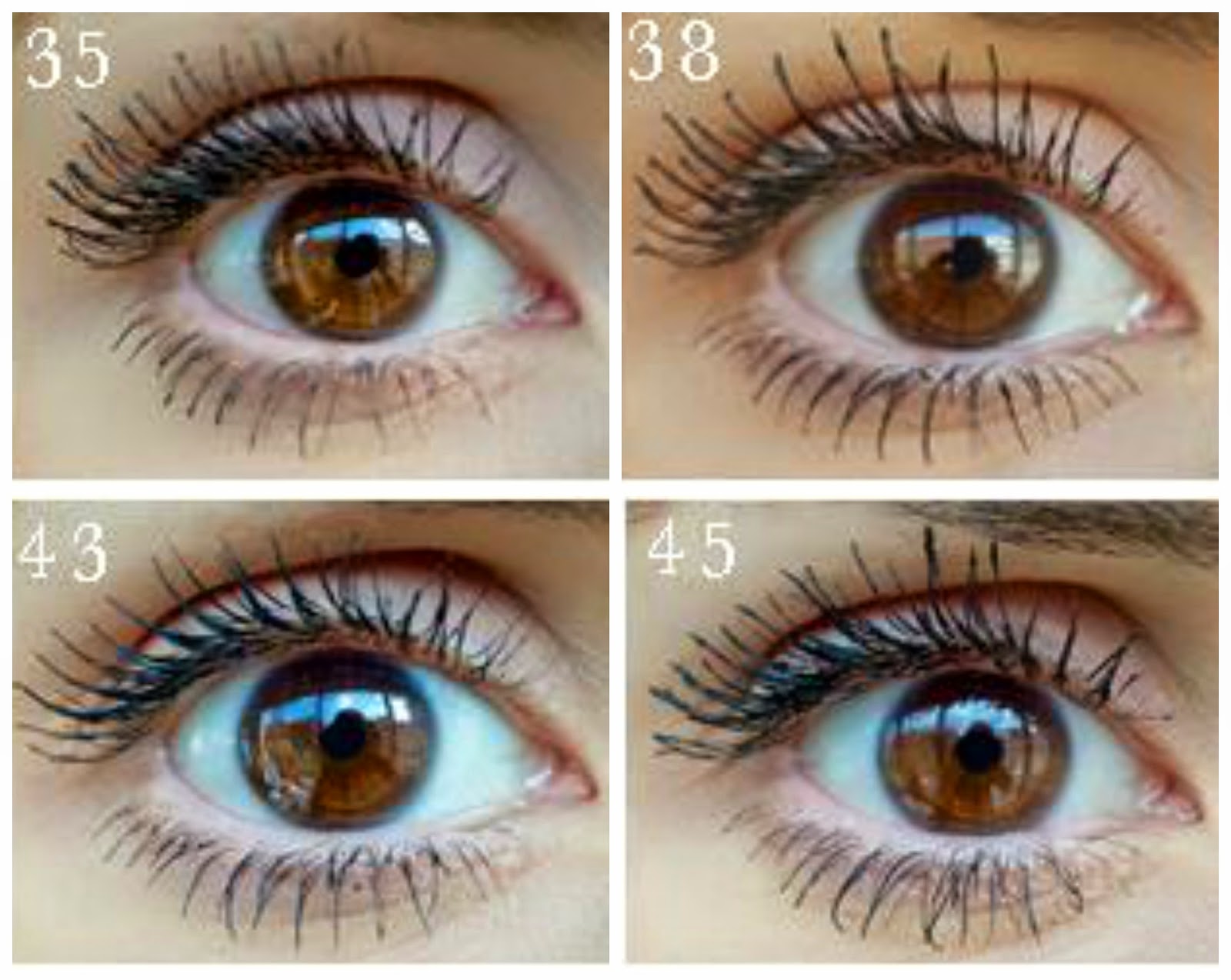 giorgio armani waterproof mascara