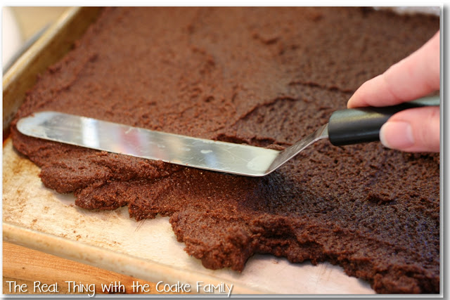 Chocolate Cookies