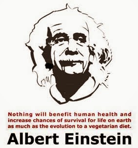 It's Groovy Being Vegan: Famous Vegans & Vegetarians