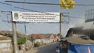 CCTV Rekam Pengendara Motor Sport Curi Kambing Warga di Bekasi Utara CCTV Rekam Pengendara Motor Sport Curi Kambing Warga di Bekasi Utara